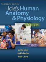 Hole's Human Anatomy & Physiology, 13e (Shier) TEST BANK